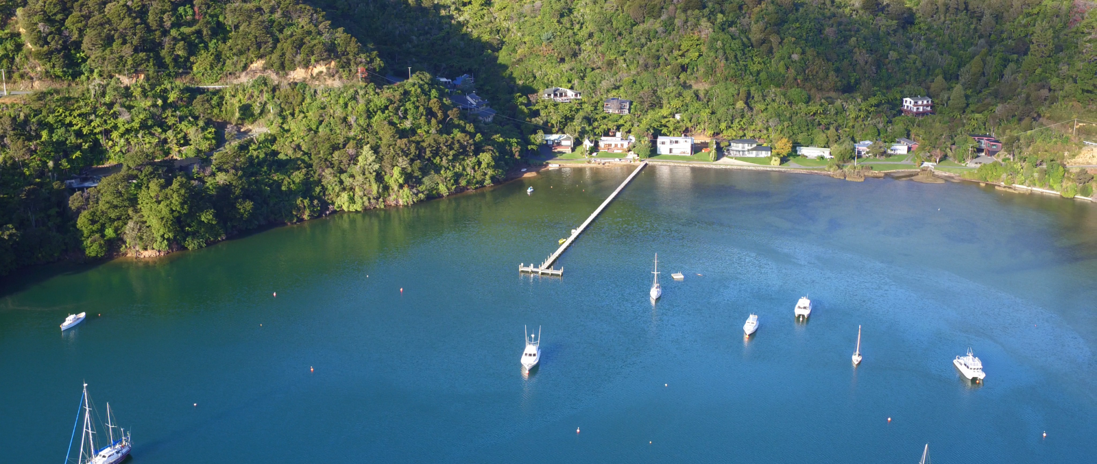 Queen Charlotte Sound Cruise Guide
