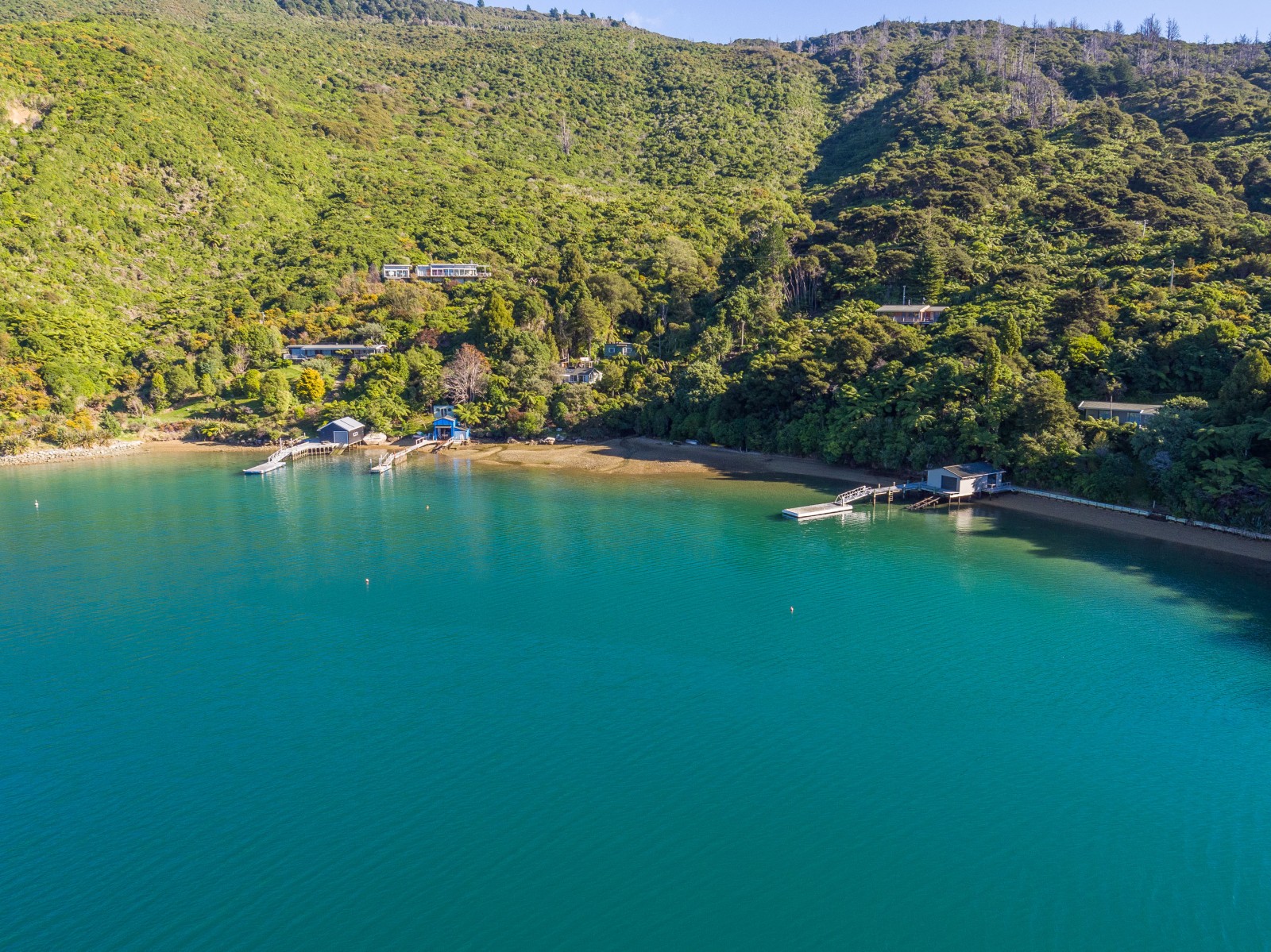 Queen Charlotte Sound Cruise Guide