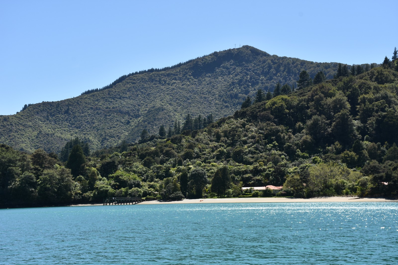 Kenepuru Sound Cruise Guide