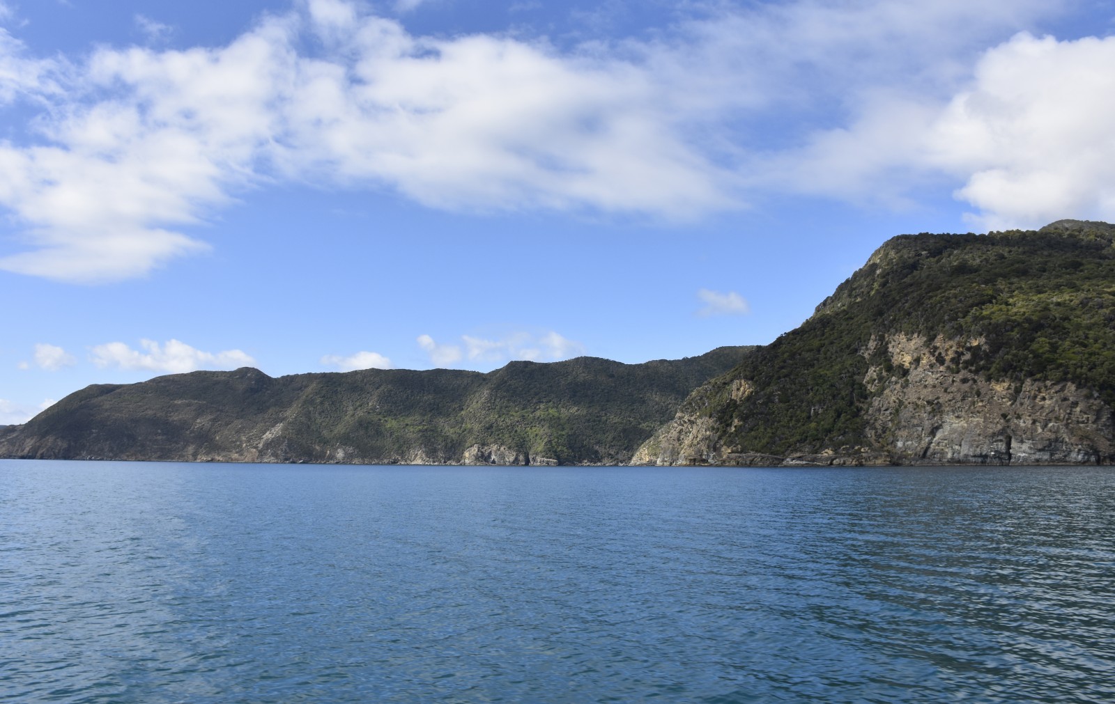 Outer Sounds Cruise Guide