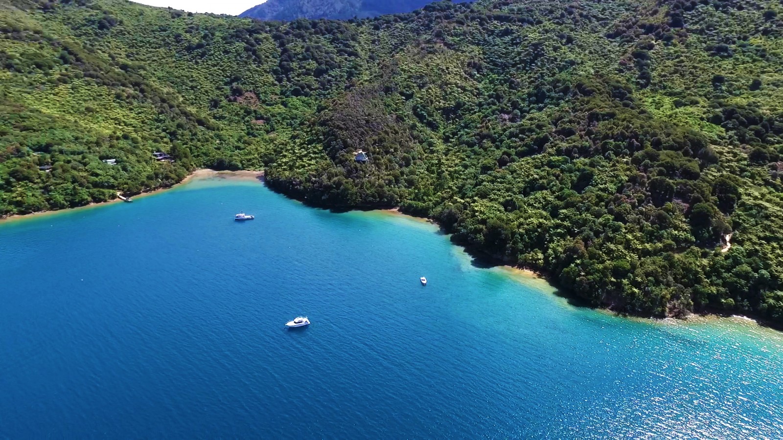 Queen Charlotte Sound Cruise Guide