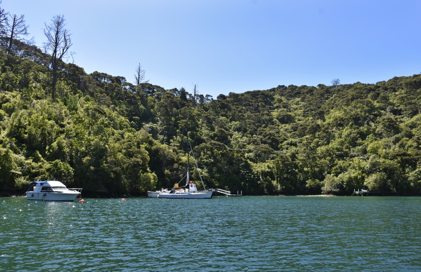 Queen Charlotte Sound Cruise Guide
