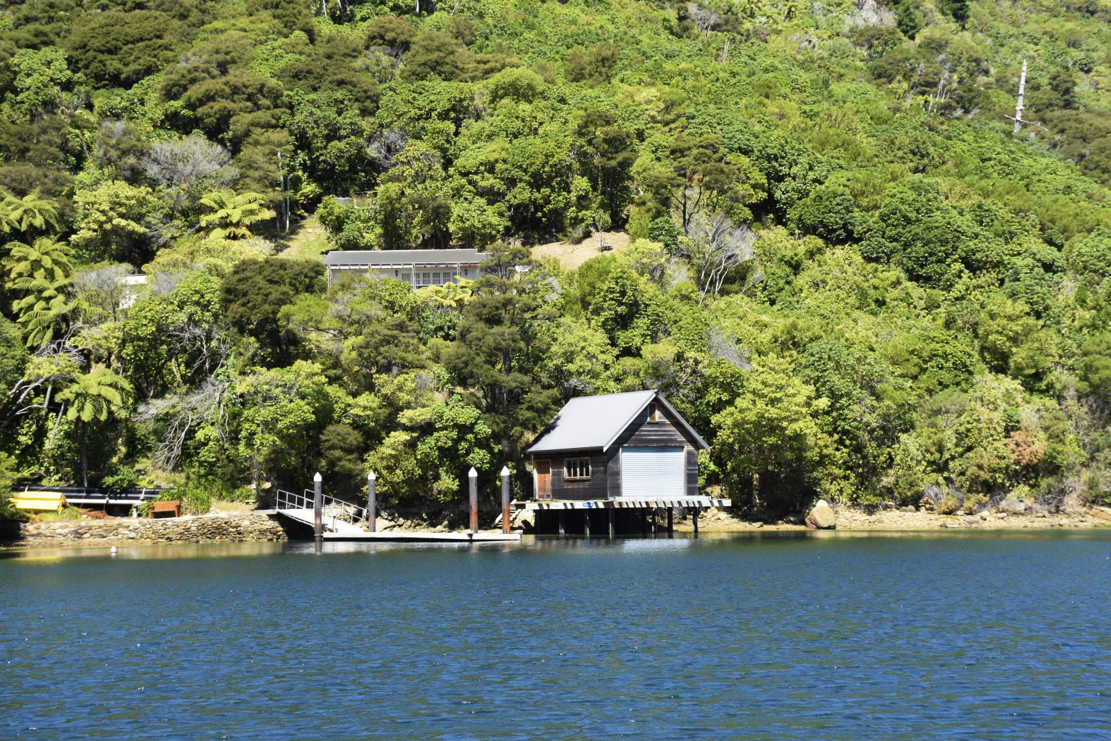 Queen Charlotte Sound Cruise Guide