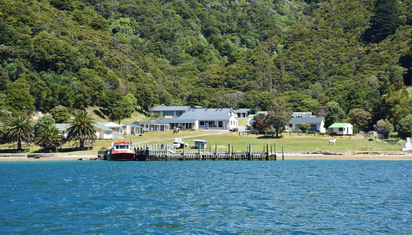 Queen Charlotte Sound Cruise Guide