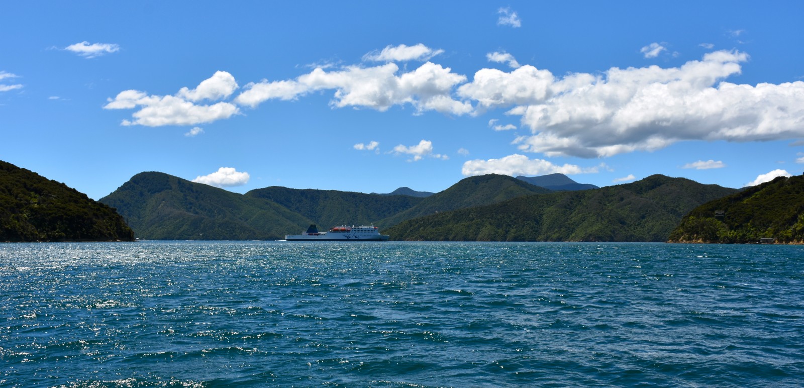 Queen Charlotte Sound Cruise Guide