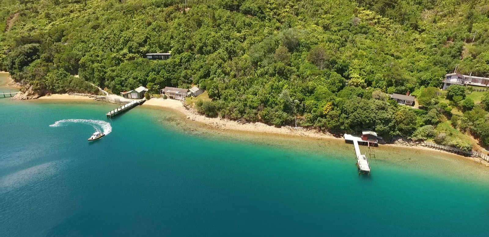 Queen Charlotte Sound Cruise Guide