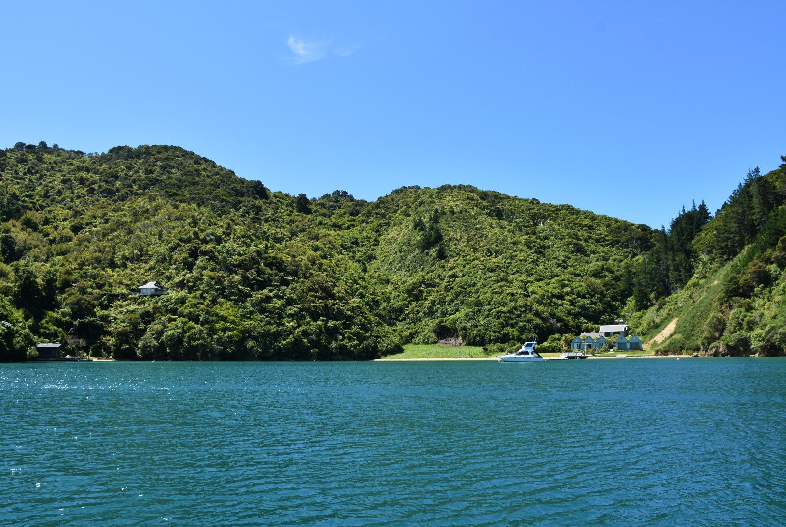 Queen Charlotte Sound Cruise Guide