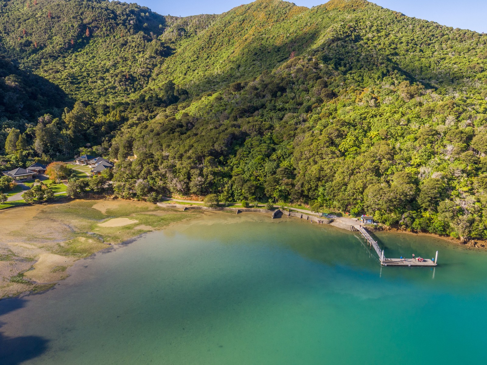 Queen Charlotte Sound Cruise Guide