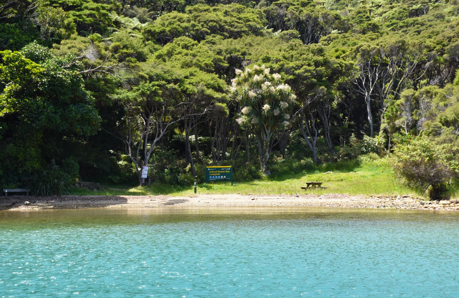 Queen Charlotte Sound Cruise Guide