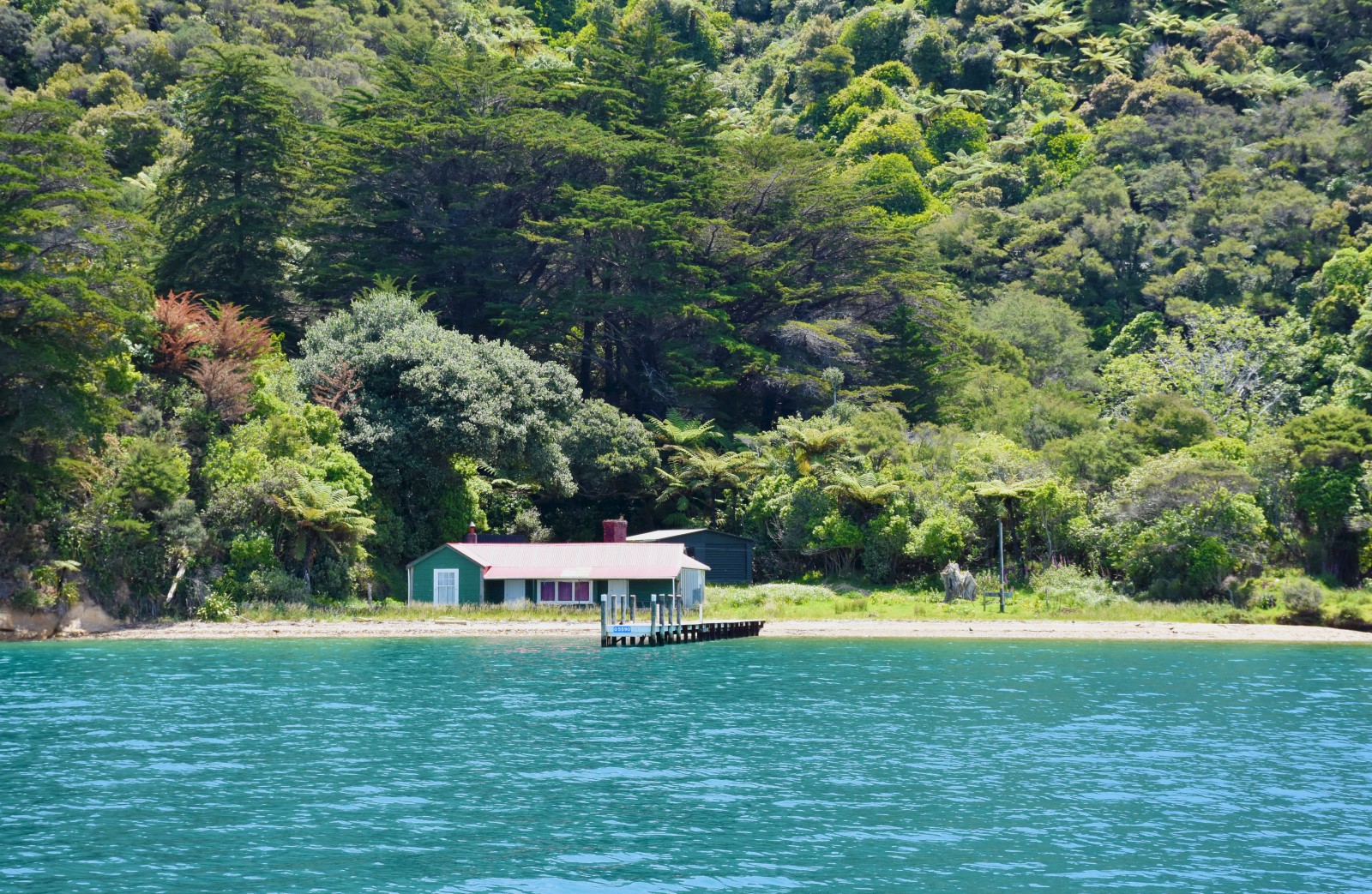 Queen Charlotte Sound Cruise Guide