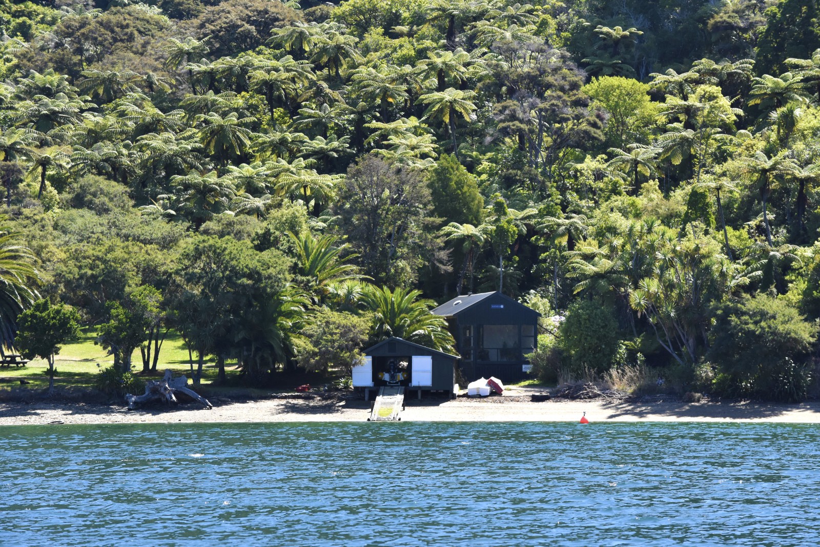 Queen Charlotte Sound Cruise Guide