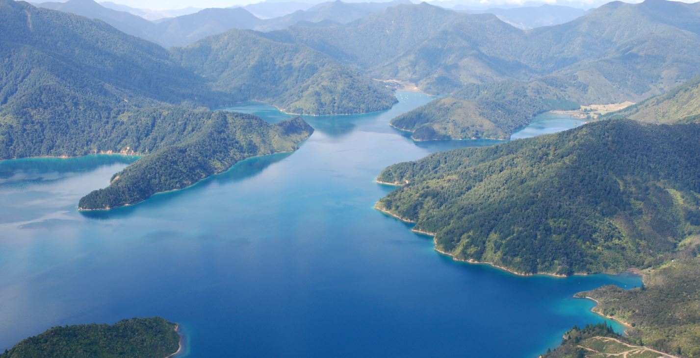 Pelorus Sound - Alchetron, The Free Social Encyclopedia